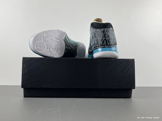 318376-041 Jordan 23 UNC 0531